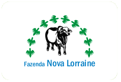 logotipo para fazenda de gado de corte